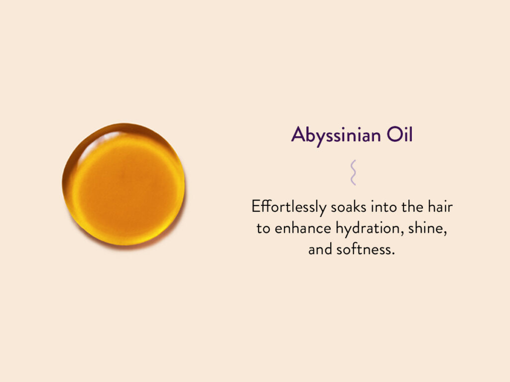 Image of Abyssinian Oil with benefits listed: Effortlessly soaks into the hair to enhance hydration, shine, and softness. 