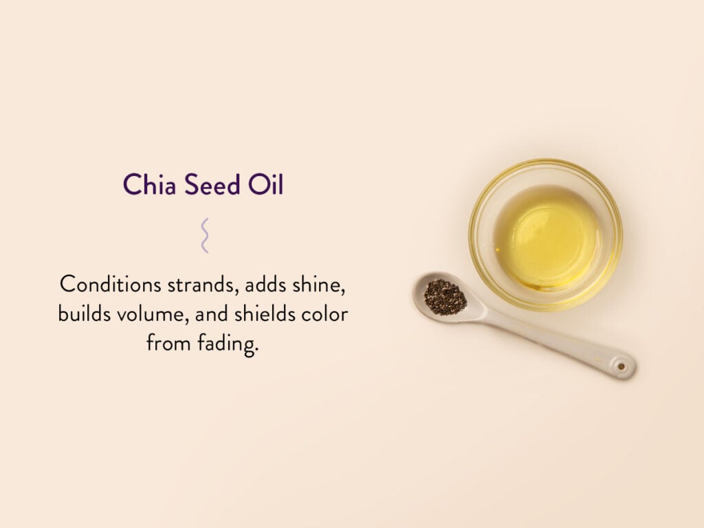 Image of Chia Seed Oil with its benefits listed out to read: Conditions strands, adds shine, builds volume, and shields color from fading. 