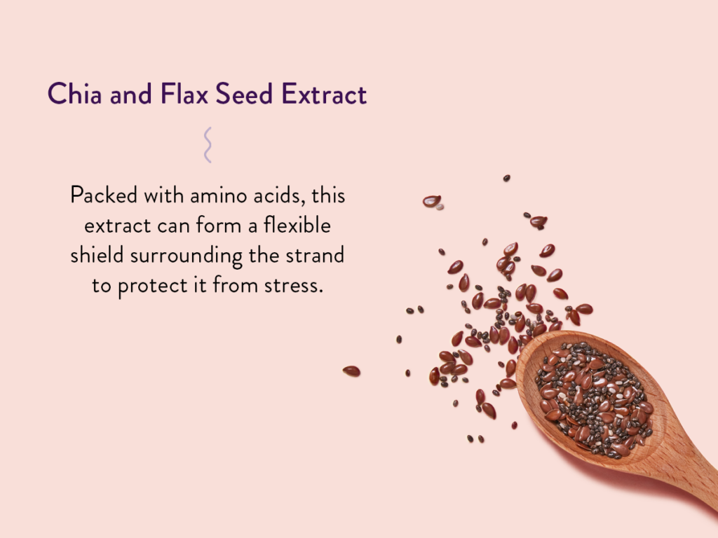 Photo of chia and flax seeds in spoon along with the description of the benefits of Chia and Flax Seed Extract: Packed with amino acids, this  extract can form a flexible shield surrounding the strand to protect it from stress. 