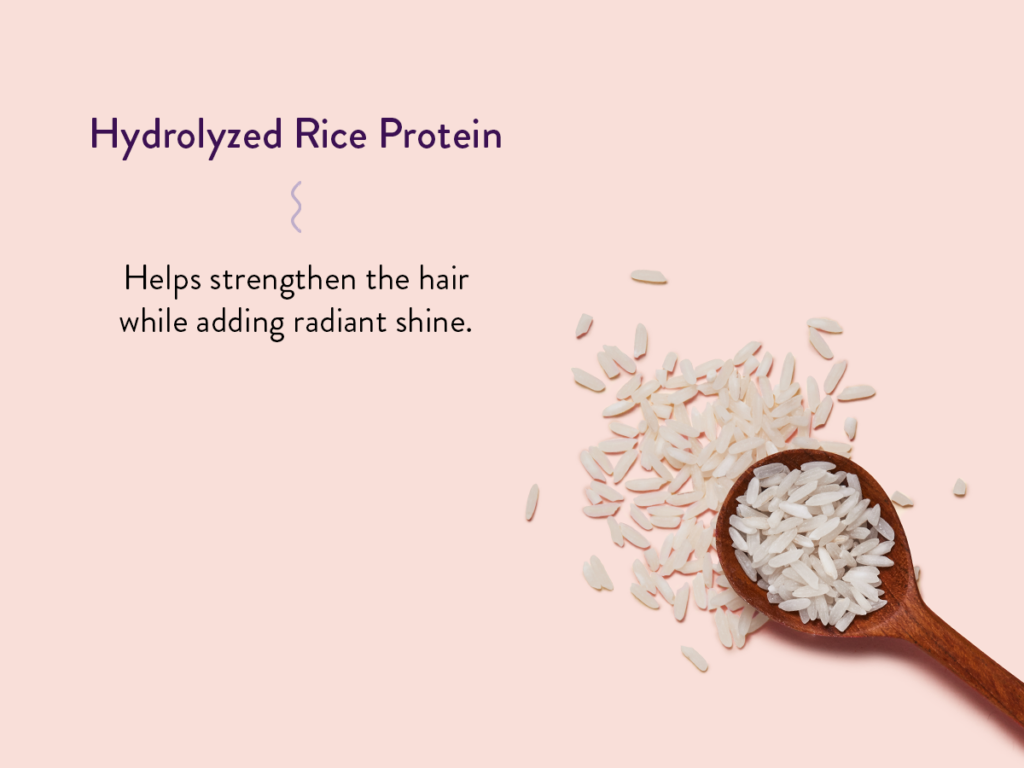 Photo of rice grains in a spoon along with description of Hydrolyzed Rice Protein's benefits: Helps strengthen the hair while adding radiant shine. 