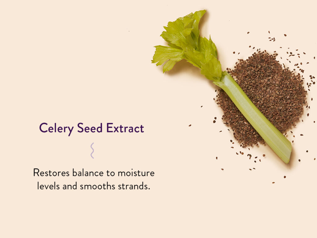 celery stalk with seeds against neutral background and benefit text. 
