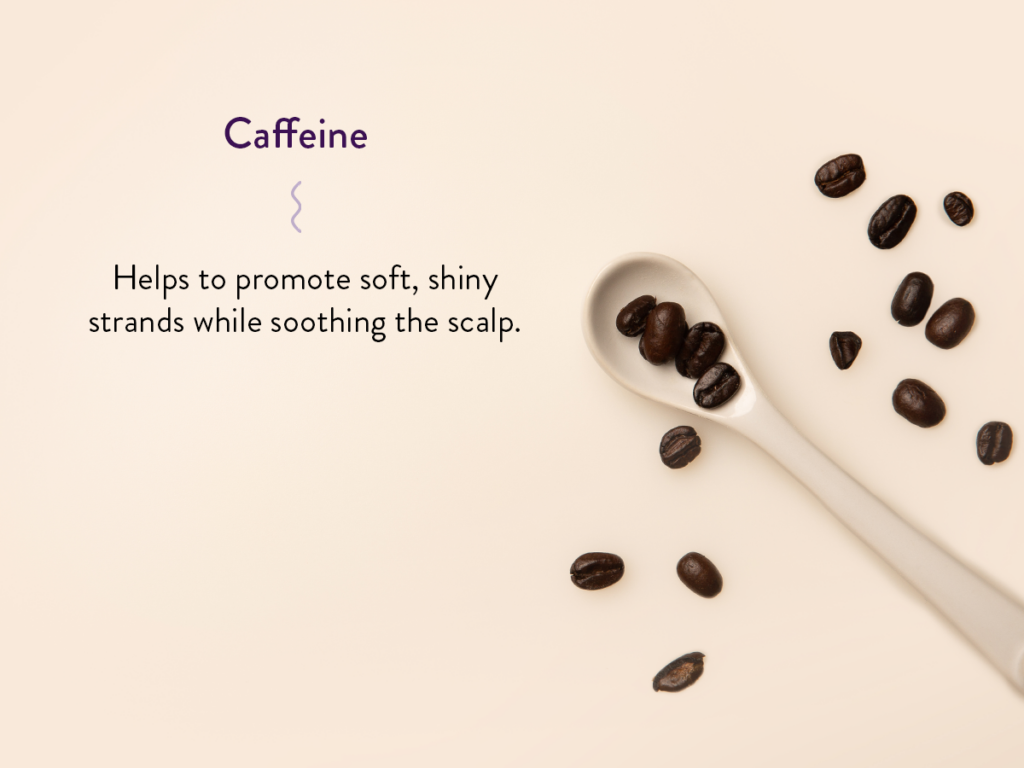 Coffee beans on a spoon and scattered across a neutral background with benefit text.