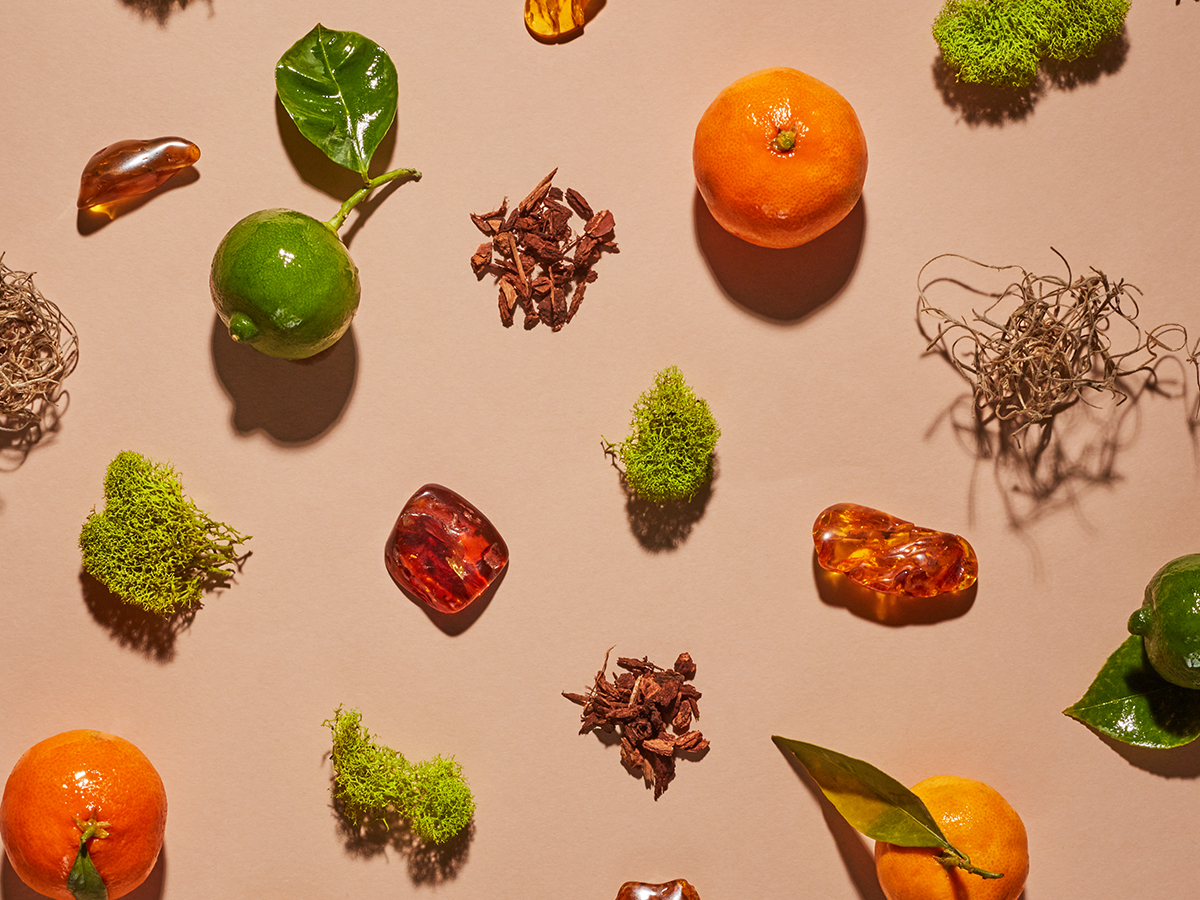 Amber, mandarins, lime, and moss against a tan background. 