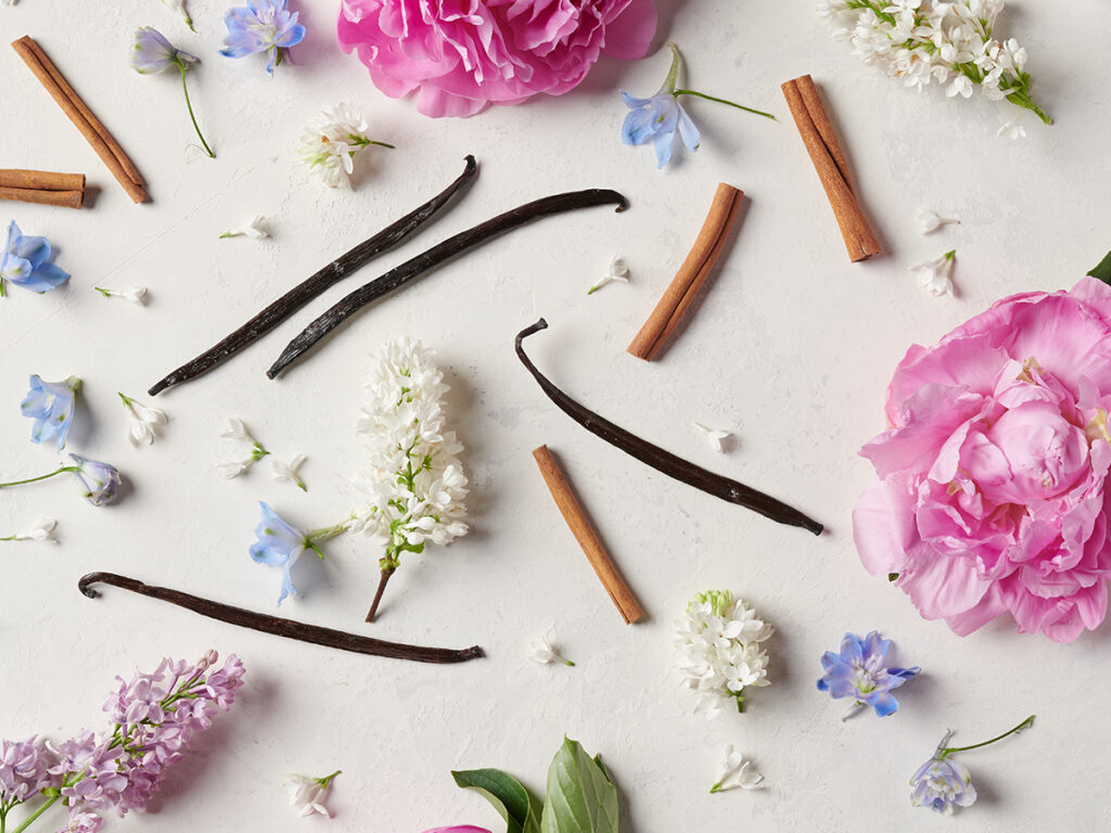 Vanilla bean, cinnamon sticks, and flowers against a cream background. 